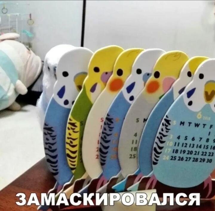 Мем без подписи