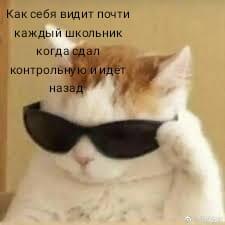 Мем от Yar-Bro