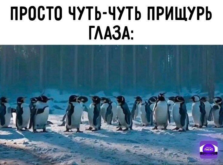 Учебный год пройдёт а воспоминание об этом лете останется