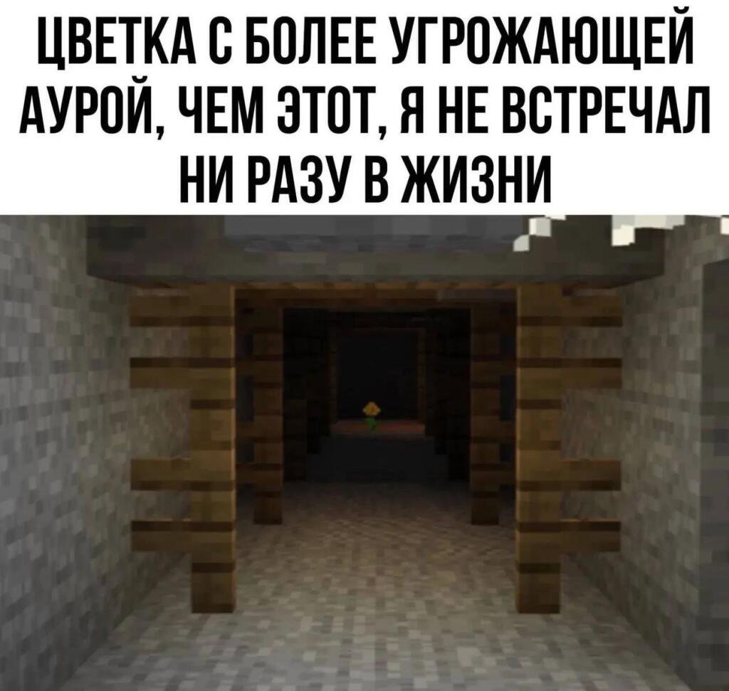 Я аж со стула упал