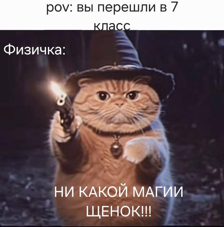 Старшая школа жестока(