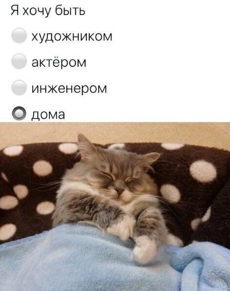 Мем без подписи