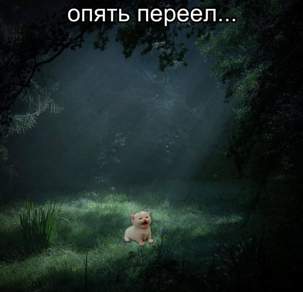 Я сейчас стремительно набираю вес, так как начала работать в бк, где мне полагаются 2 бесплатных обеда😅