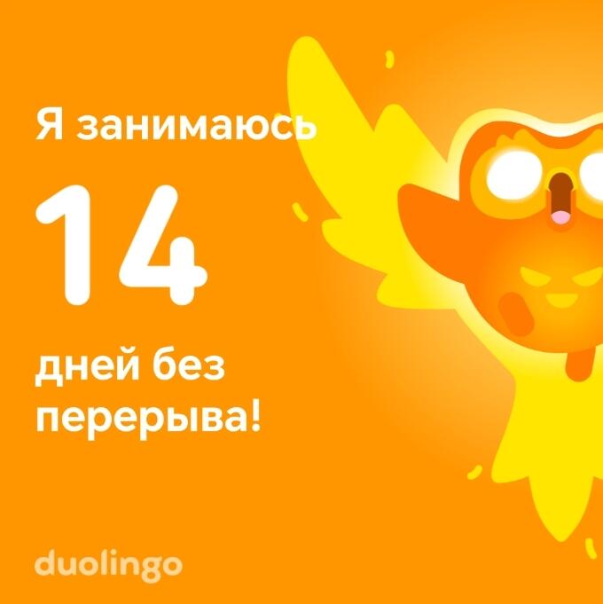 Превратил сову в феникса
