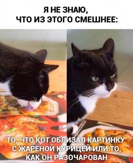 Весь мир - обман...