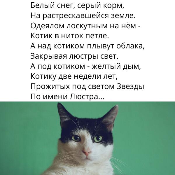 Мем от Crolinux