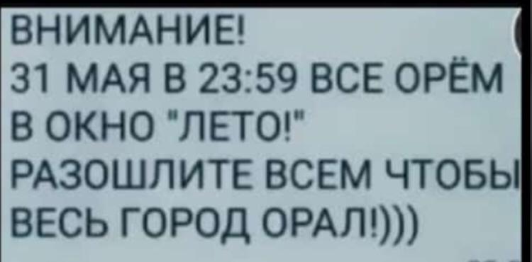 Ах вот какие у вас планы на лето!