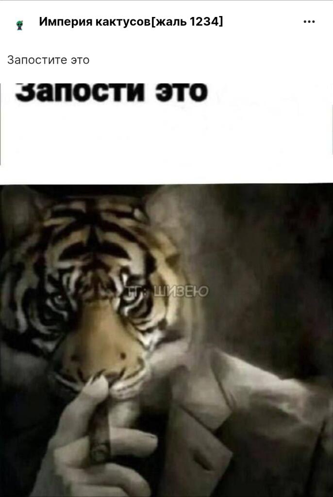 Запостил это