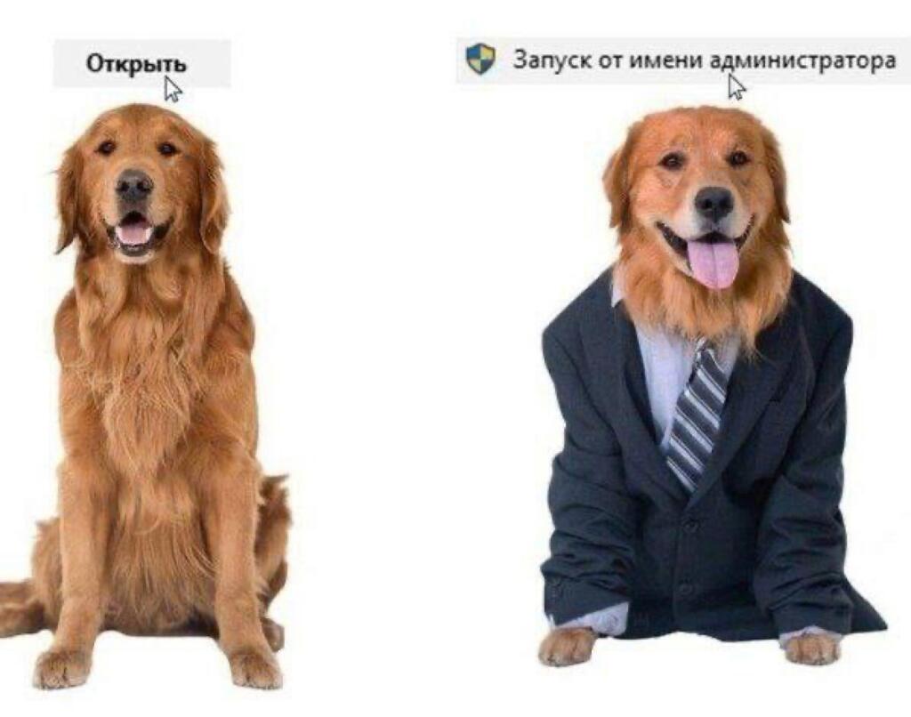Мем без подписи