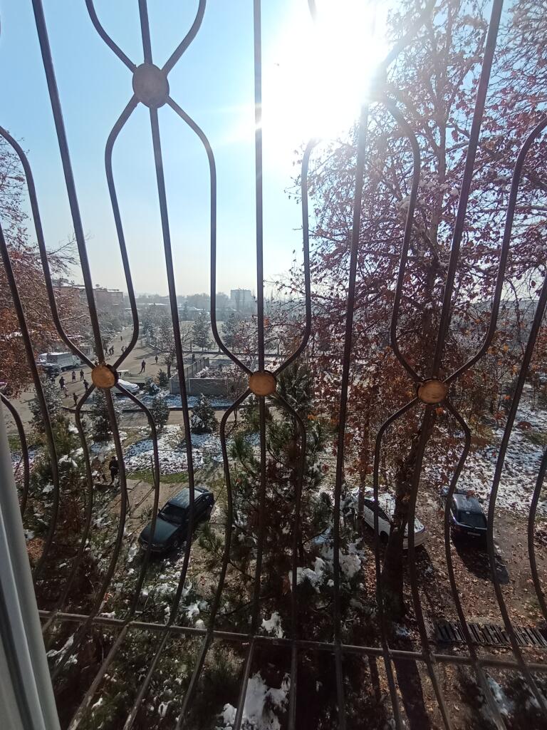 Выкладываю свой вид из окна каждый день. День 6