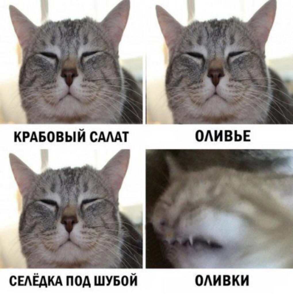 Правда