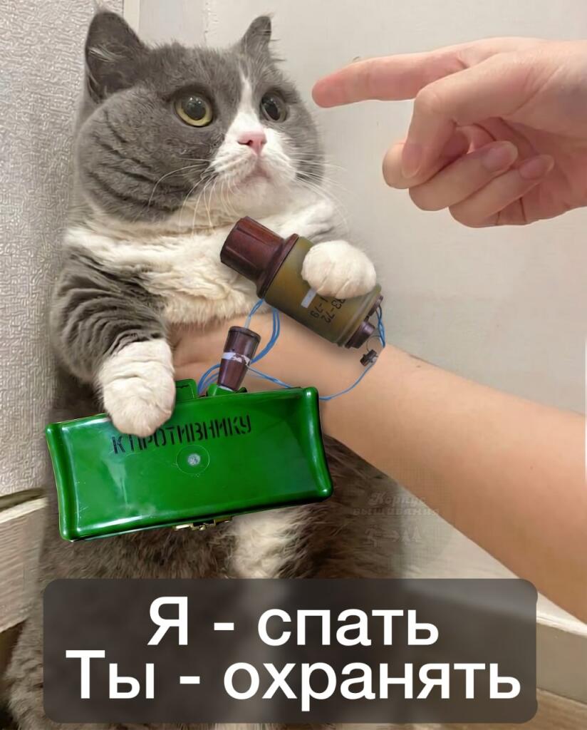 Я перед сном