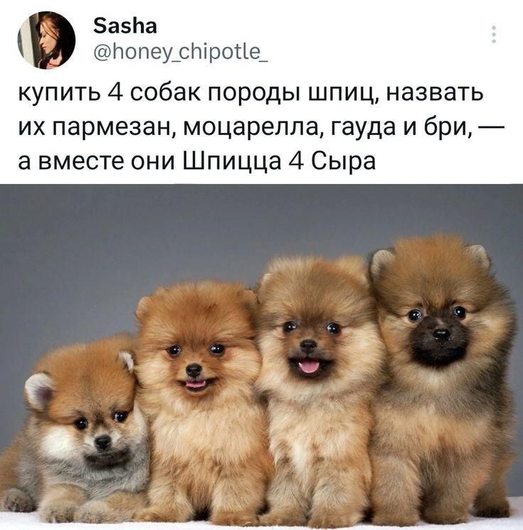 ПОЧЕМУ Я ОРУ С ЭТОГО ХАХАХАХА