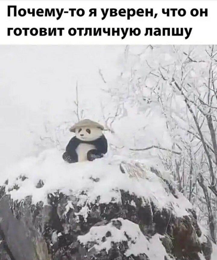 Мем от Империя кактусов[ПЛМ]