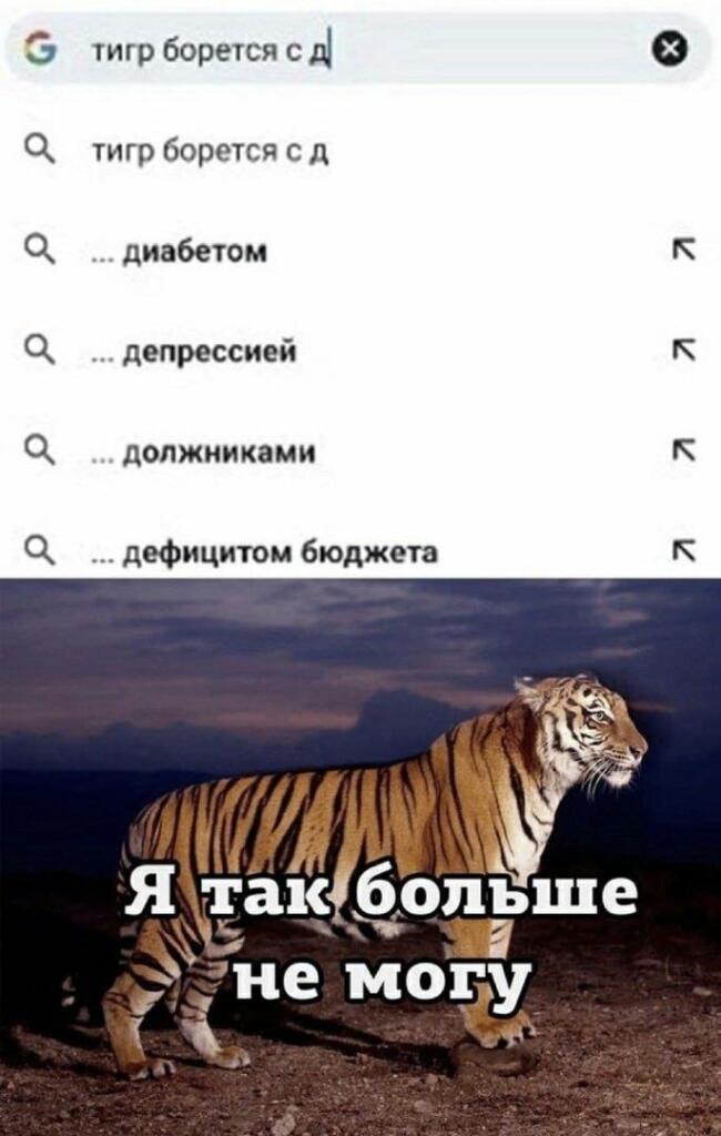 Муся, это ты?
Нет, это экзистенциальный кризис