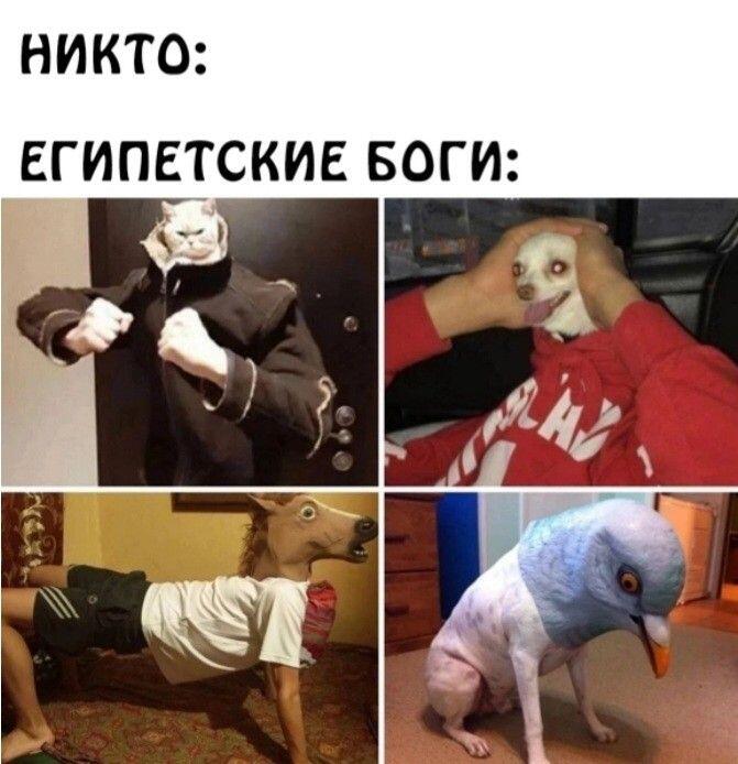 Реально, а почему они такие?