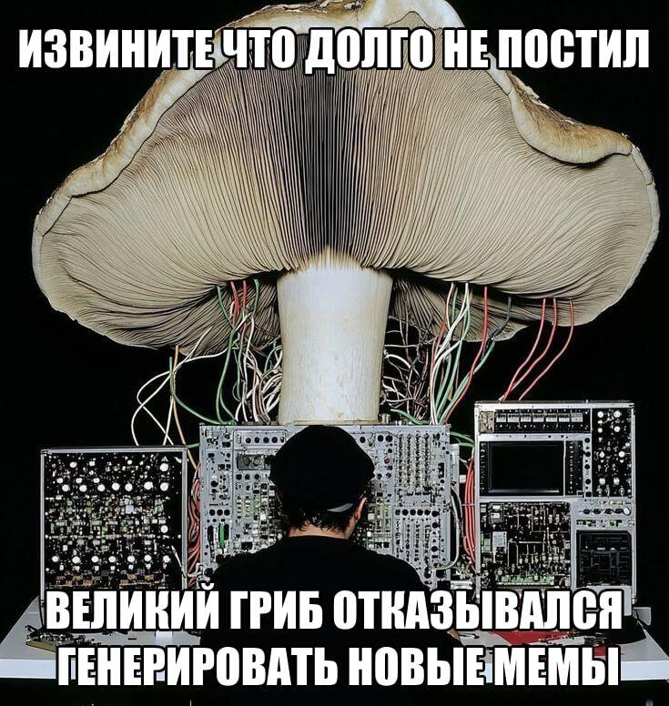 Извините, что в майские каникулы не постил