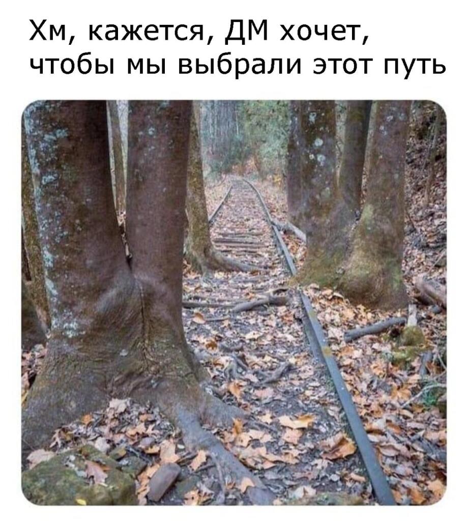 Мем от Хомякокот