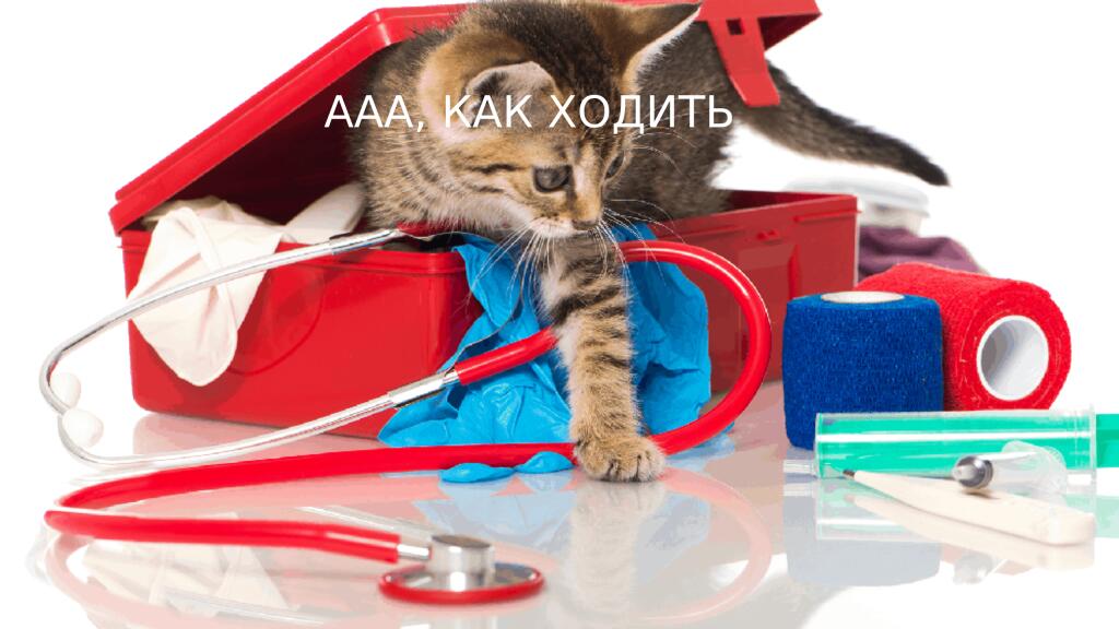 Я в спортзале: так круто! такой прилив энергии, вау!
Так же я на утро: