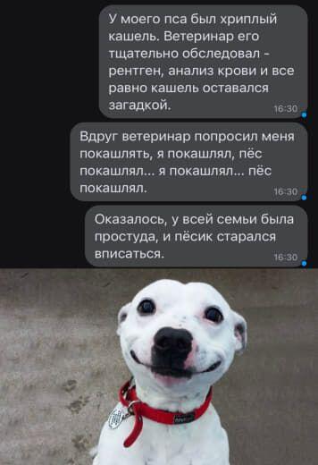 Моя ленивая жомпа вернулась!