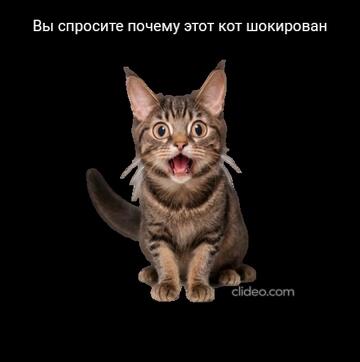 Мем делал сам