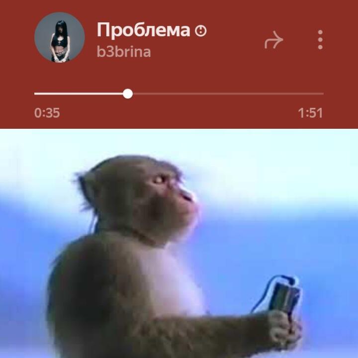 Вот теперь точно только ню-метал