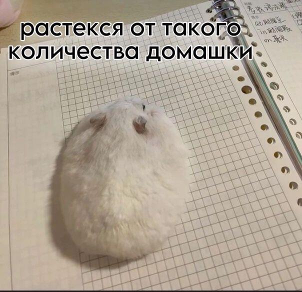 Бедный