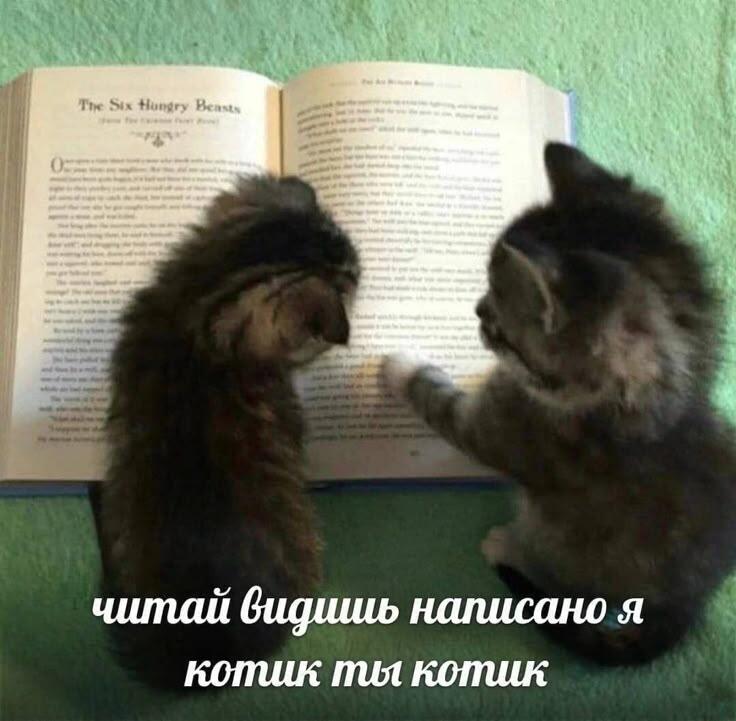 :3