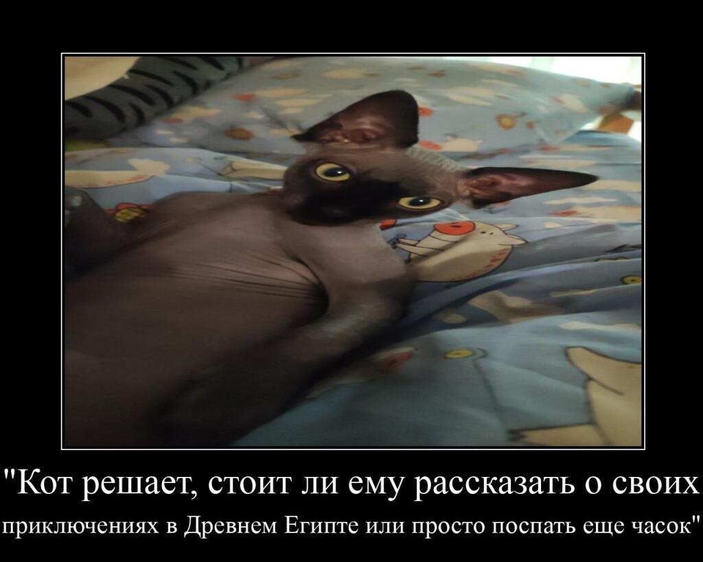 Вспомним Баксюшку. Вторая это новая фотка Баксика.