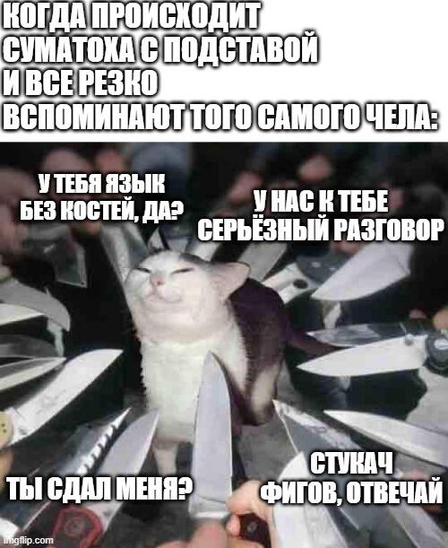 а в итоге и не он проболтался