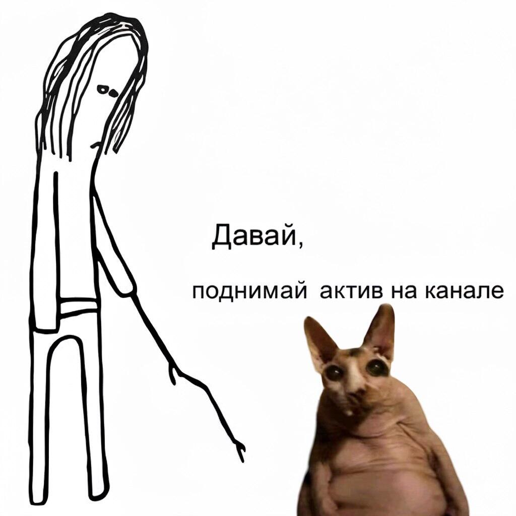 жырный лысый кiт вообще распоясался
