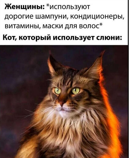 Мем от Лайм