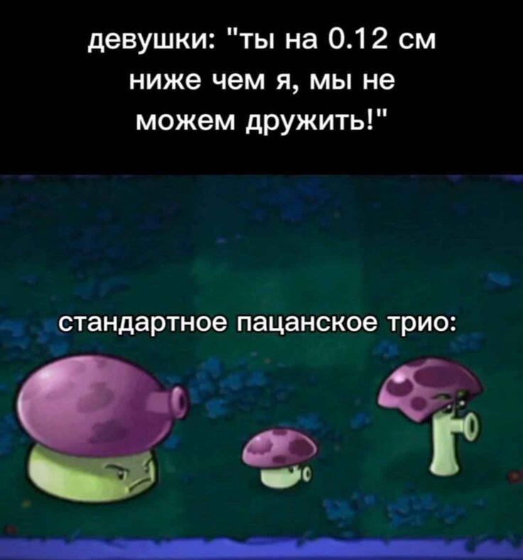 Хахах🤣 жиза