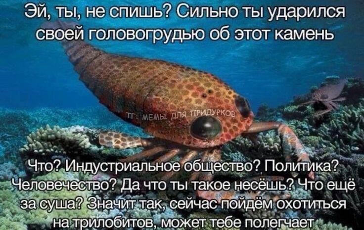 Эхх, вот бы ко мне такой..... а кто это? Ладно, не важно, всё равно хотелось бы, чтобы он пришёл