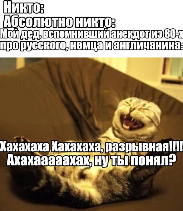 Короче, у меня тут время для самодельных мемов появилось...
