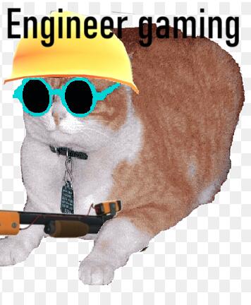 пока все делают свои авы в виде эмодзи с пистолетом, я сделаю коте engineer gaming