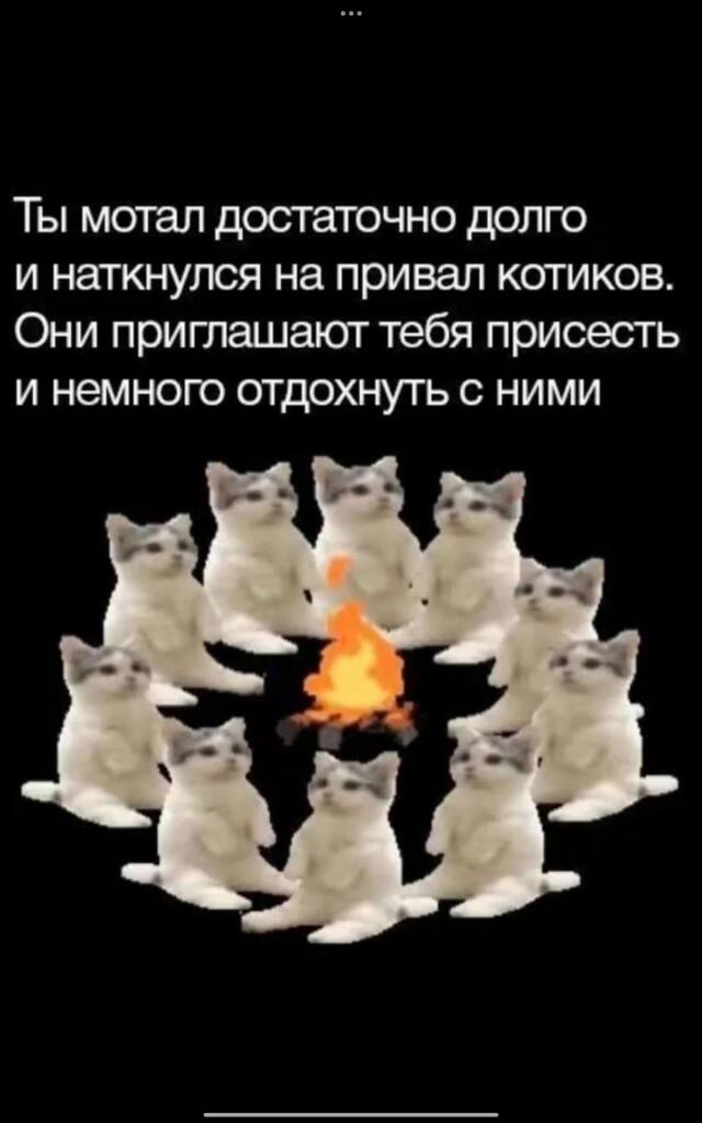 Мем от DudefromReddit стал амфибией 🐸
