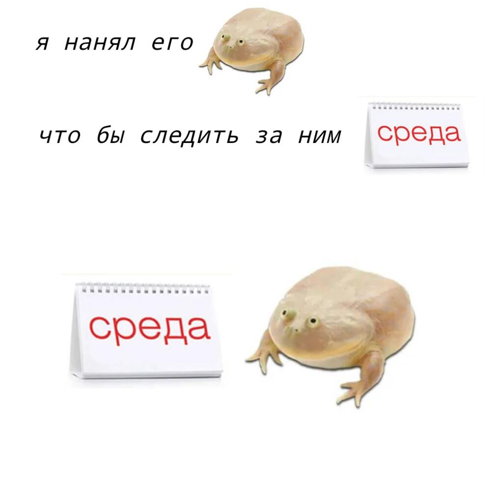 Мем от St_Egor