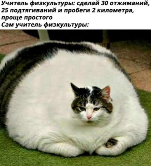 Та самая школьная физ-ра