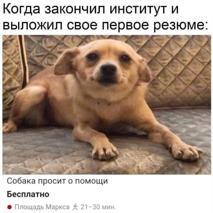 Интересно, есть ли на мемозге люди закончившие институт? (ну кроме модерации)