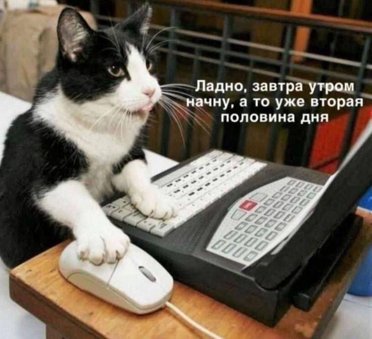 Мем от Meme Creator