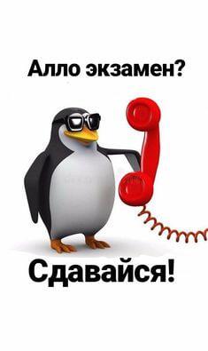 Мем от саня4оус
