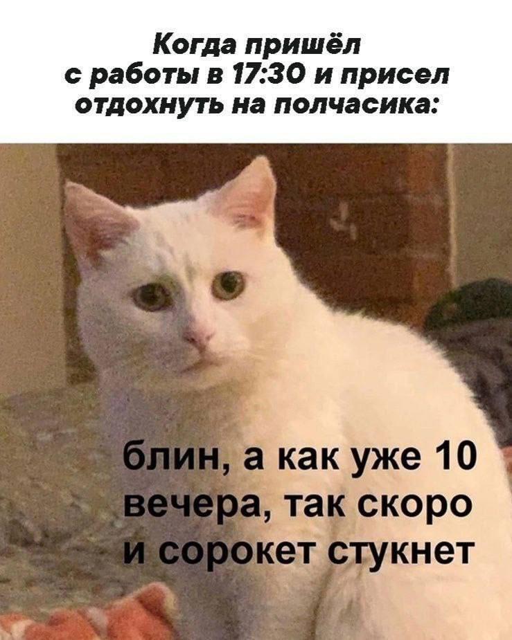 Мем от К0т2йка