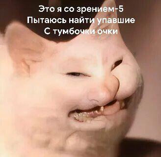Мэмасэк, причём очень жизненный