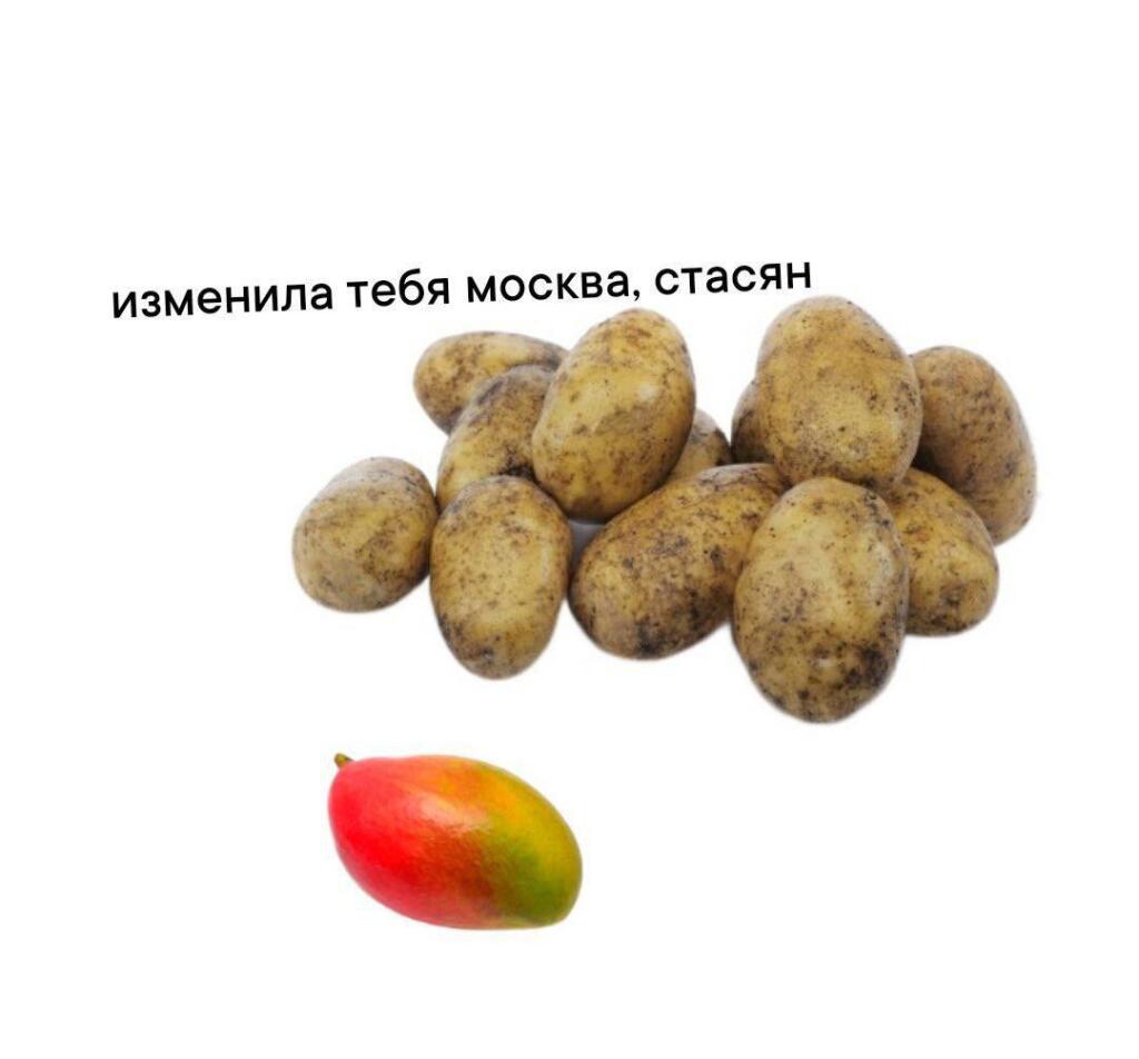 Мем от Синакуки