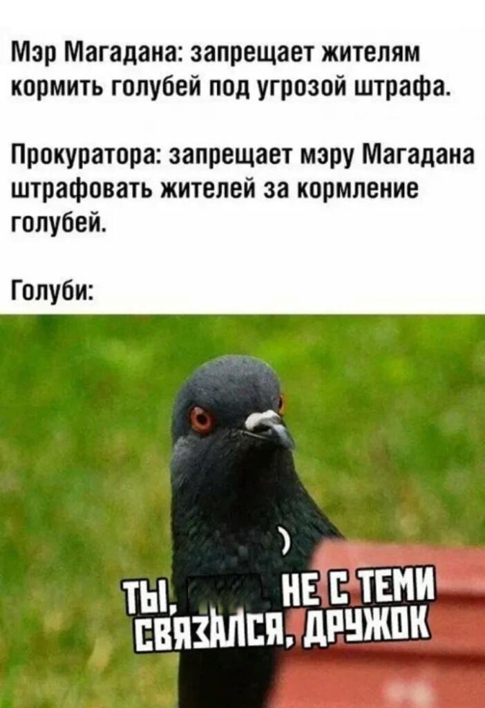 Мем от Джус