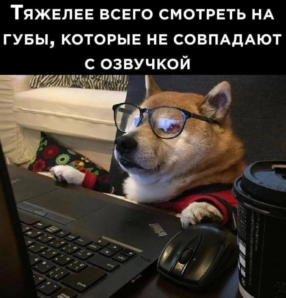 Мем от ГУП "НМТ"