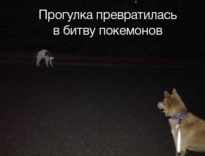 Мем без подписи