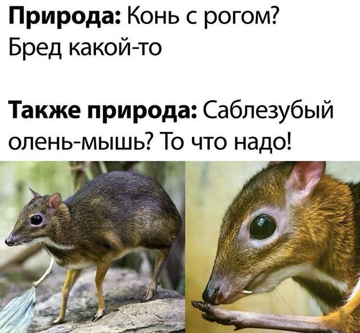 Вы не понимаете, это другое!