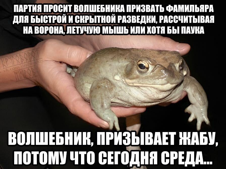 Ну ладно, вот меме, мои чуваки